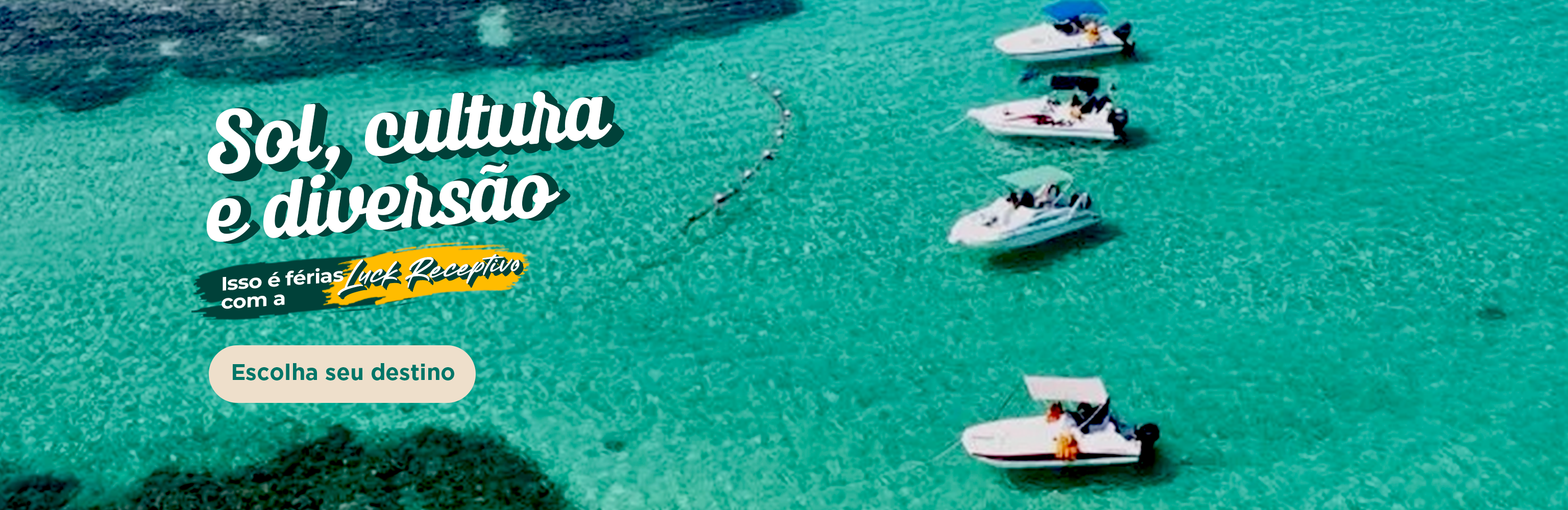 Banner 1